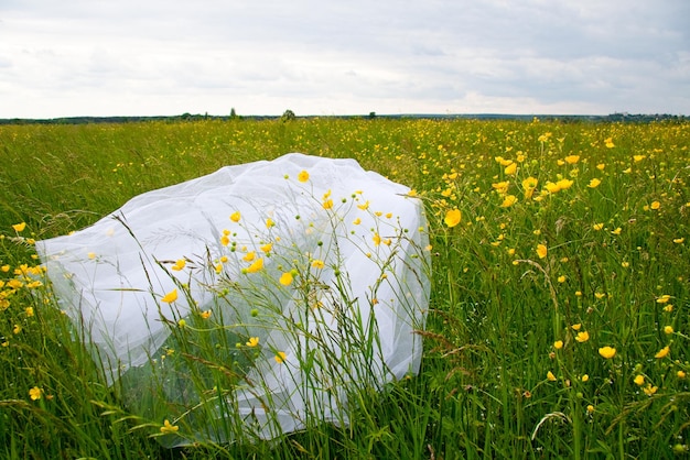 Wedding day beauty nature concept in the middle of the field there is an amazing woman wearing white bride dress she is spinning around herself and sequins are shining in the light of sun