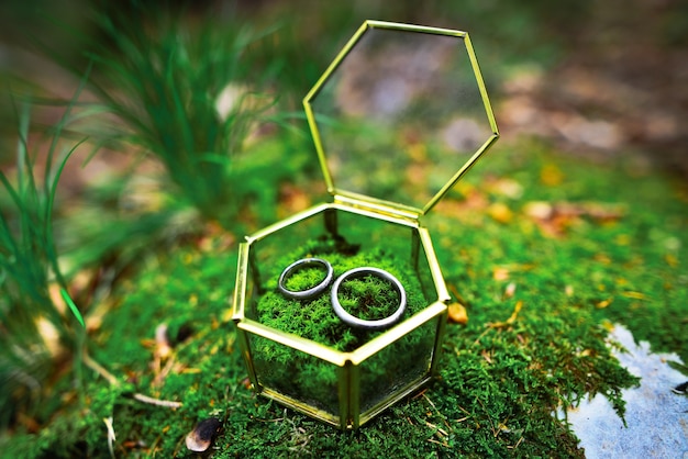 Photo wedding engagement rings close up lying on moss