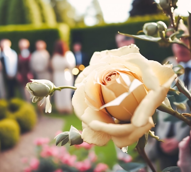 Wedding guests celebrating at a beautiful outdoor venue on a sunny day luxury wedding decoration idea and decor inspiration with flowers party event celebration at the garden estate Generative Ai