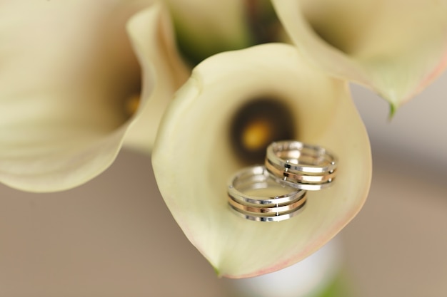 Wedding rings on a bright background