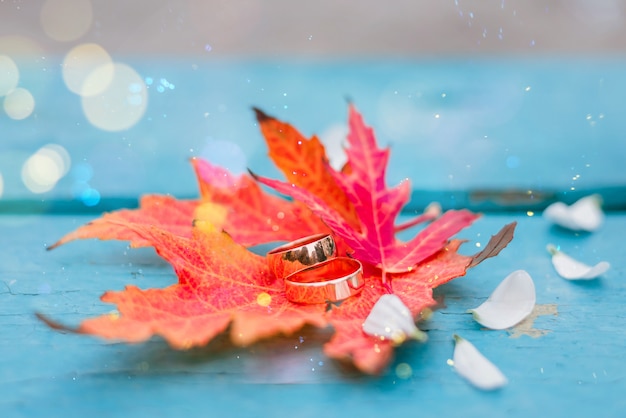 Wedding rings on orange autumn leaves on turquoise wooden table