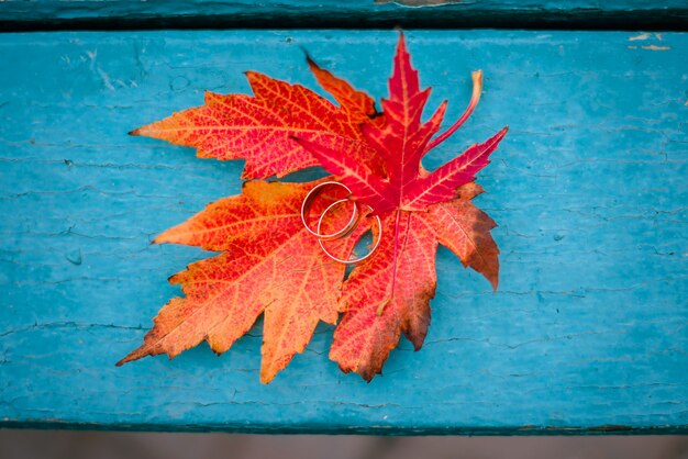 Wedding rings on orange autumn leaves on turquoise wooden table