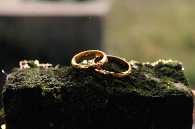 Wedding rings symbol love family. A pair of simple wedding rings