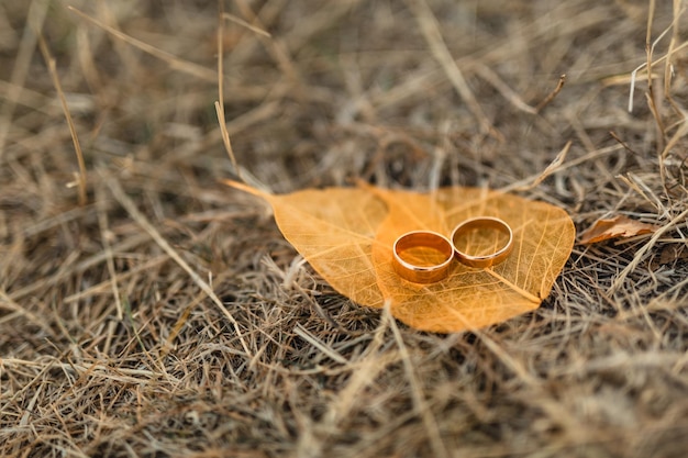 wedding rings wedding concept close up