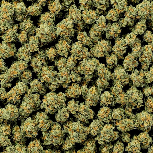 Weed, cannabis closeup view