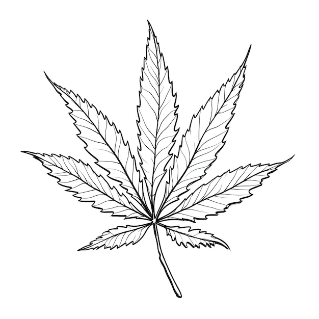 Weed cannabis leaf ai generated