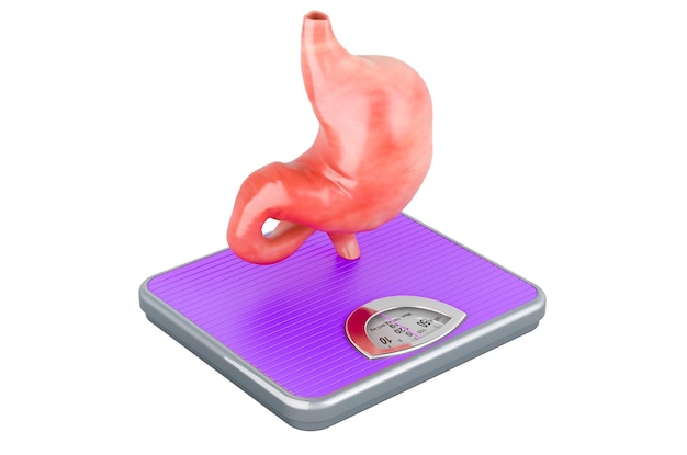 Weight scale with stomach 3D rendering