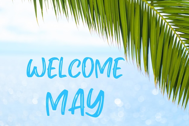 Welcome may message written in elegant font on the background with palm leaf and blue sea holiday co...