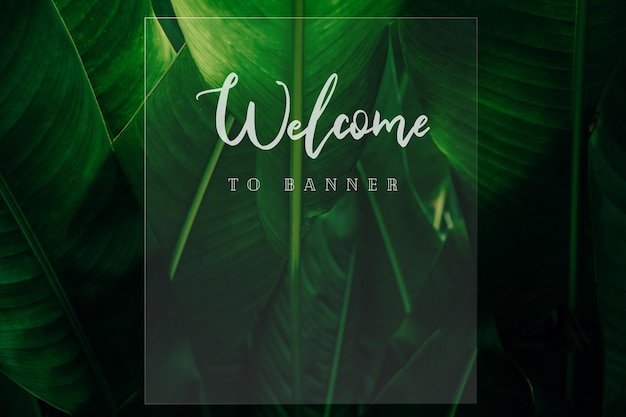 Welcome poster on leaf background colorful gradient brush design Vector paper illustration