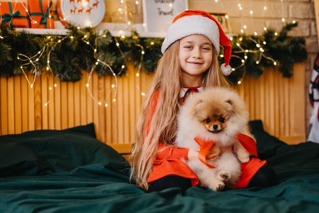 A welcome present for Christmas a Pomeranian puppy. A cute little girl received a puppy as a gift for Christmas. The joy of the gift. Happy child.