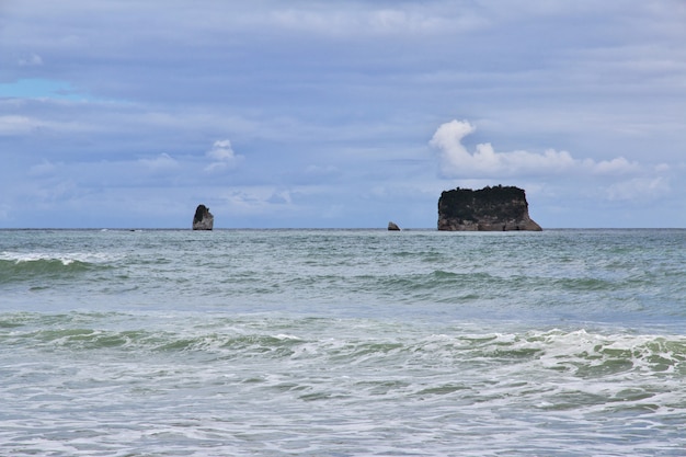 West coast on the South island, New Zealand