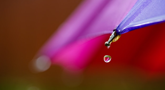 Wet areas of the umbrella and dripping rain from them. 