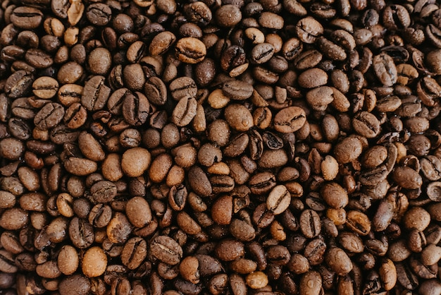 Wet coffee beans