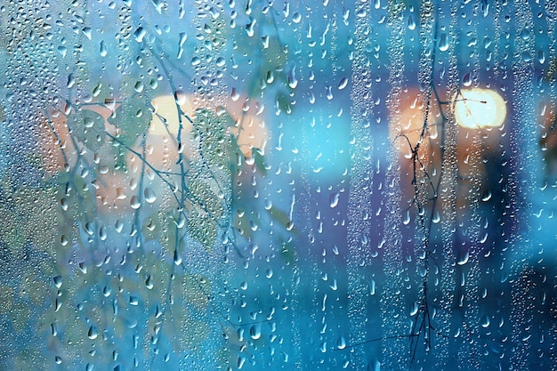 wet glass view of branches park autumn, abstract background drops on the window evening november