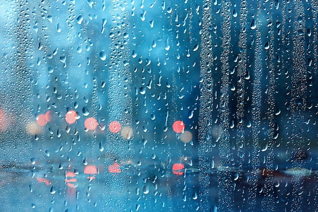 wet glass view of branches park autumn, abstract background drops on the window evening november