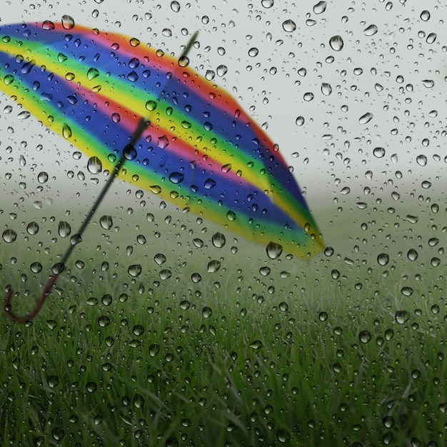 Wet glass with raindrops green grass and colorful umbrella