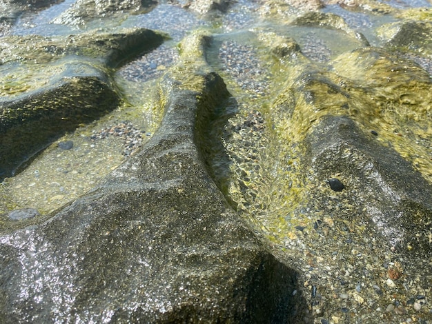 Wet natural stones covered with moss and sea water and vegetation the stones are green