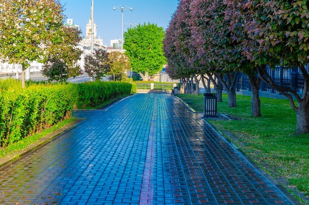 Wet sidewalk after rain on a spring day.