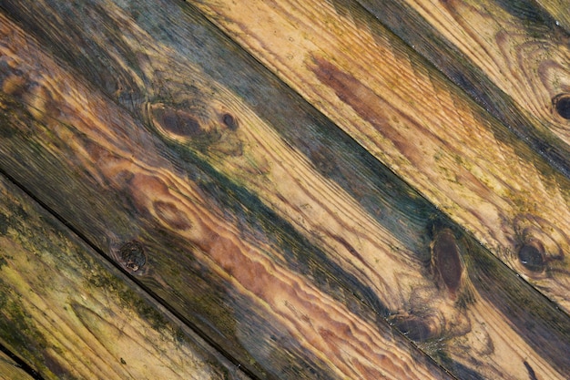 Wet wooden board texture