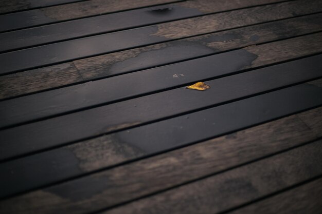 Wet Wooden Planks