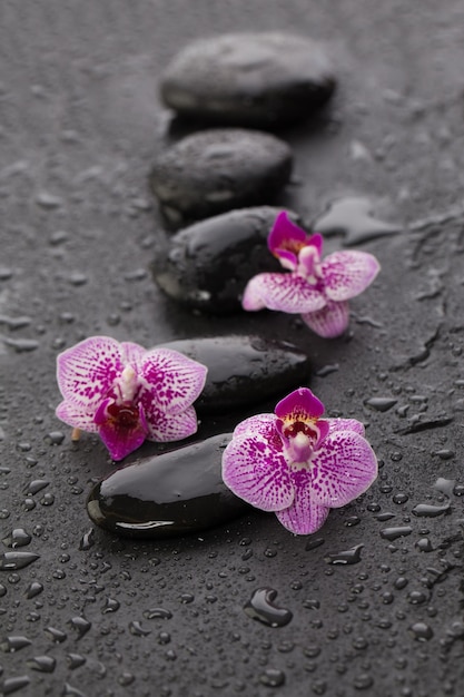 Wet zen stones and flowers on black background