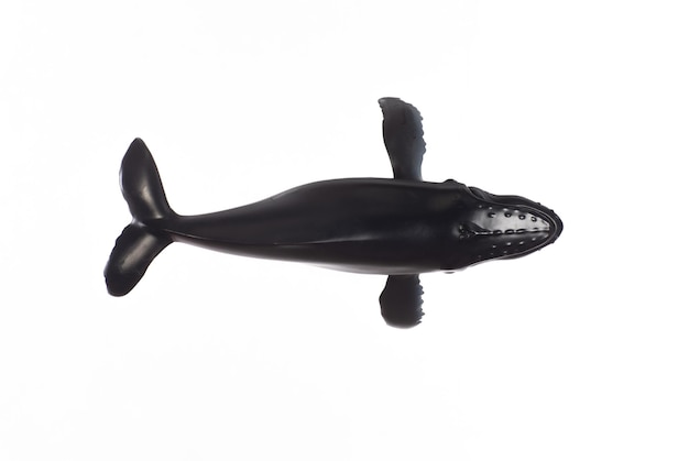 whale figurine isolated on white background