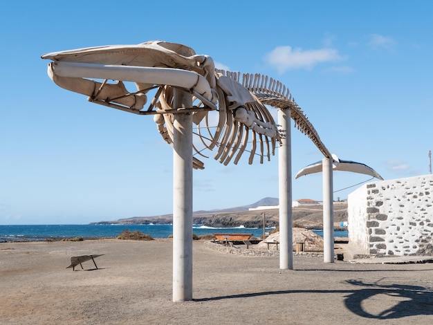 Whale skeleton in Salinas del Carmen, Fuerteventura, Canary Islands