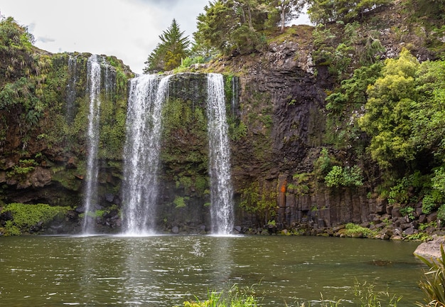 Whangarei waterfall