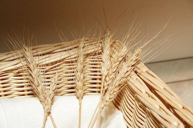 Wheat in a basket