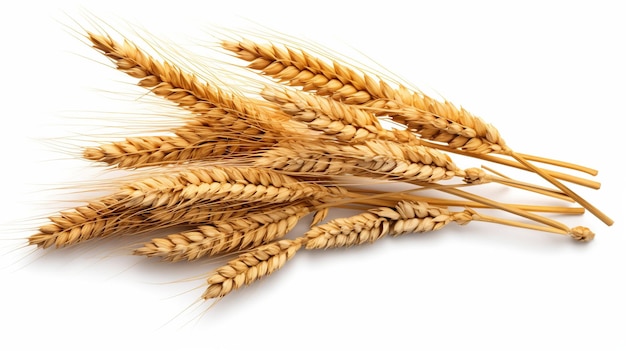 Wheat ears isolated on white png generative ai