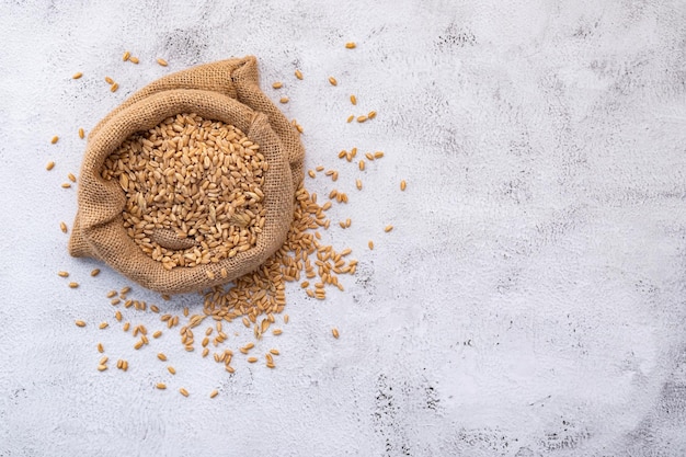 Wheat ears and wheat grains set up on white concrete background