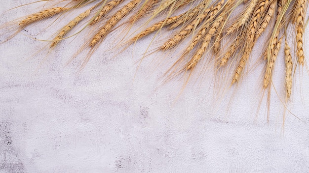 Wheat ears and wheat grains set up on white stone background