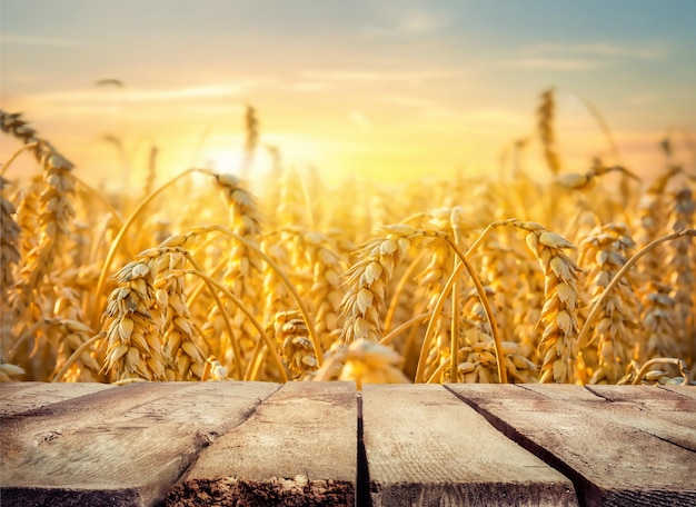 Wheat field and table