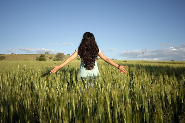 Wheat Field