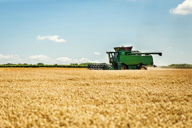 Wheat harvesting with a combine combine harvester in action on wheat field sunny summer day