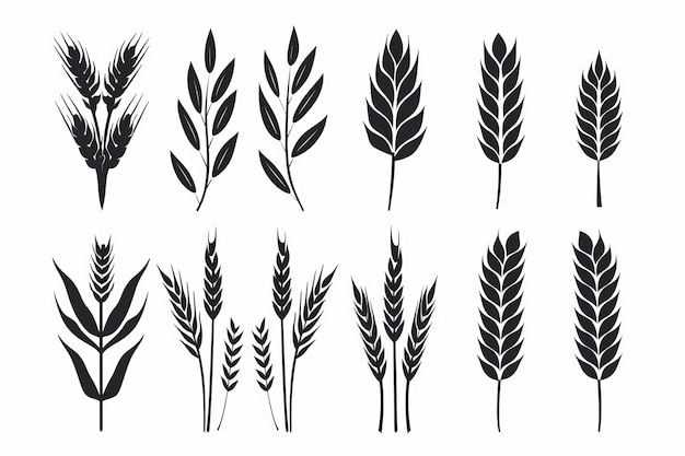 Wheat icon rye ears sign barley emblem oats cereals symbol wheat ear seeds corns set