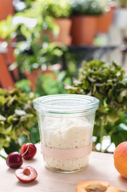 Wheat italian sourdough starter for homemade bakery