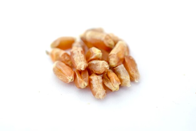 wheat seeds on a white background food concept