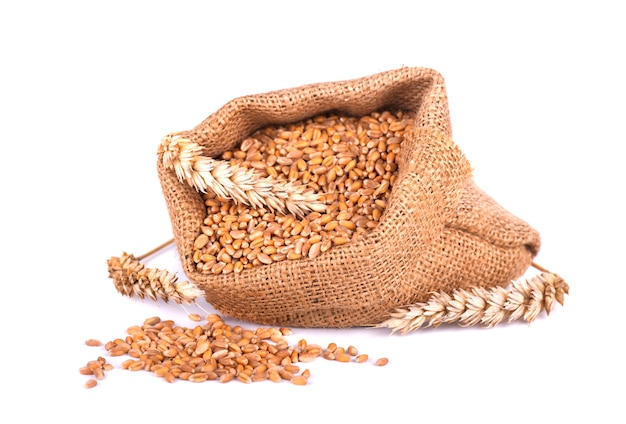 Wheat spike and wheat grain in burlap bag isolated on white space