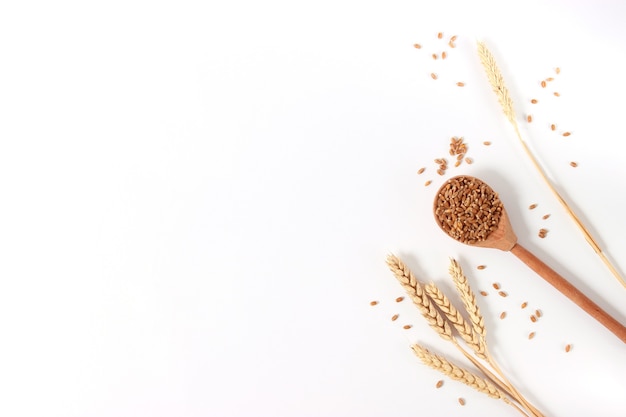 Wheat and spikelets on a white background