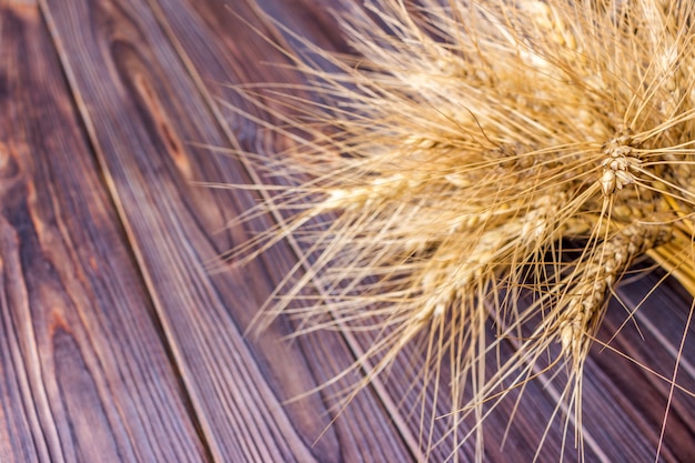 Wheat stems, on wooden background Harvest concept