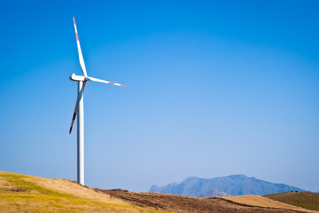 Wheatfield with windmills