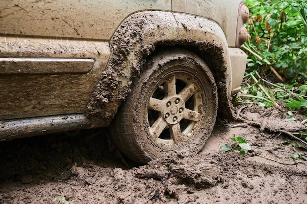 Wheel closeup in a countryside landscape with a muddy road