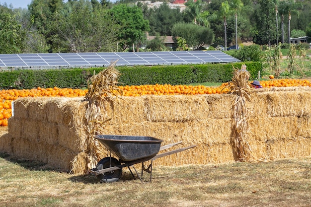 wheelbarrow in front of a stack or bale of hay on a farm