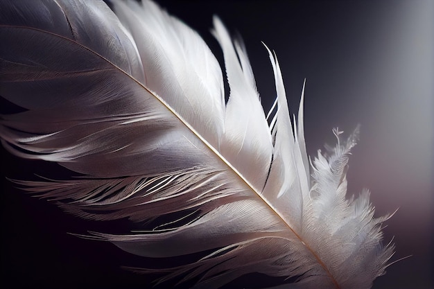 White albino bird feathers closeup on black isolated background delicacy and softness design background copy space Generative AI