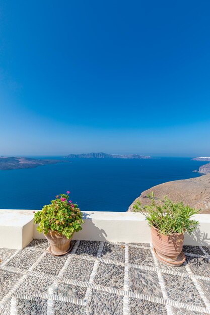 White architecture on Santorini island, Greece. Flowers on the terrace with sea view