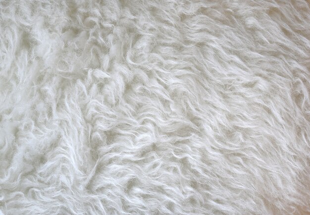 Photo white artificial fur texture for background