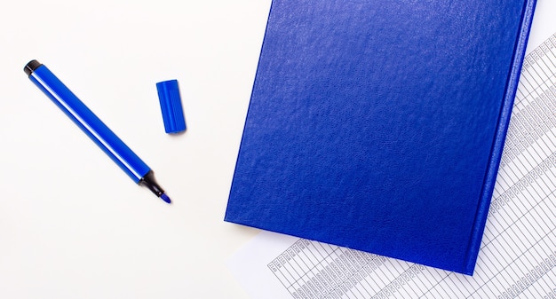 On a white background reports, a blue pen and a blue notebook with the text MEMBERS ONLY. Business concept. Banner