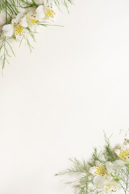 A white background with flowers and leaves on it