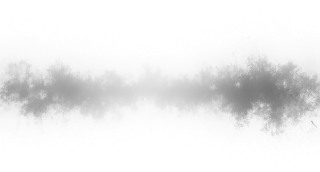 Photo a white background with a line of trees in the middle